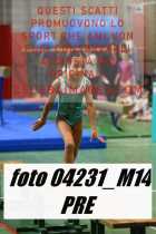 04231_M14-PRE