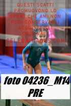 04236_M14-PRE