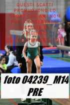 04239_M14-PRE