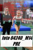 04240_M14-PRE