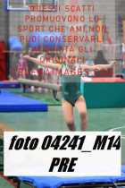 04241_M14-PRE