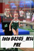 04245_M14-PRE