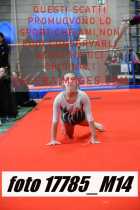 17785_M14-