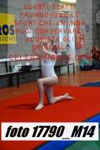 17790_M14-