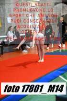 17801_M14-