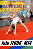 17808_M14-