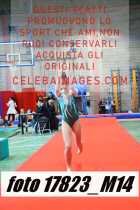 17823_M14-