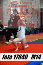 17840_M14-