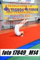 17849_M14-