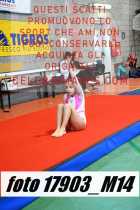 17903_M14-