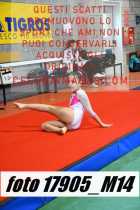 17905_M14-