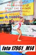 17961_M14-