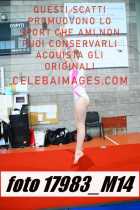 17983_M14-