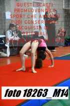 18263_M14-