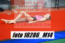 18286_M14-
