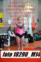 18290_M14-
