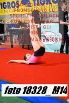 18328_M14-