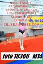 18366_M14-