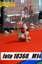 18368_M14-
