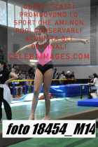 18454_M14-