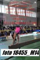 18455_M14-