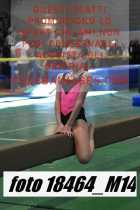 18464_M14-
