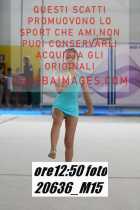 20636_M15-