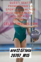 20797_M15-