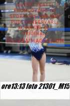 21301_M15-