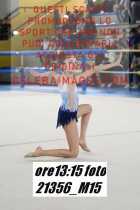 21356_M15-
