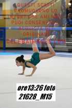 21628_M15-