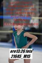 21645_M15-