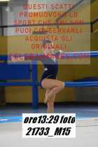 21733_M15-