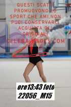 22056_M15-