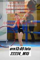 22224_M15-