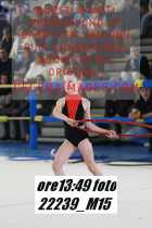 22239_M15-