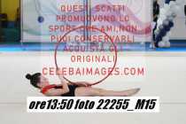 22255_M15-