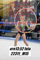 22311_M15-