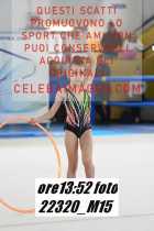 22320_M15-