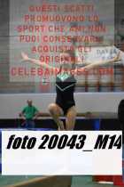 20043_M14-