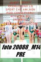 20088_M14-PRE-
