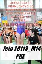 20113_M14-PRE-