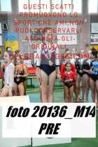 20136_M14-PRE-