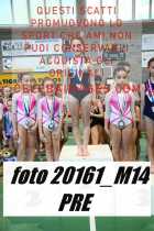 20161_M14-PRE-