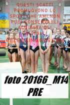 20166_M14-PRE-