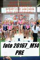 20167_M14-PRE-