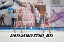 22381_M15-