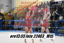 22403_M15-