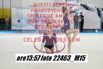 22463_M15-