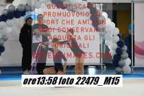 22479_M15-